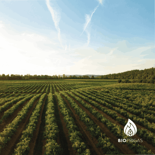 Biofrigas Poster 2
